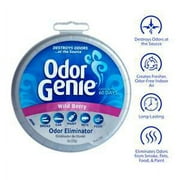 DampRid Odor Genie Wild Berry Odor Eliminator, 8 oz