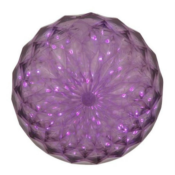 Vickerman X106606 30 Lumière x 6 Po A Mené la Boule de Cristal Violette Extérieure