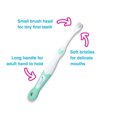 thumbnail image 2 of FirstBrush™ First Baby Toothbrush (0-18 months) Double Pack (Pack of 6 Mixed Colours) | Baby's First Toothbrush, 2 of 9