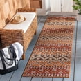thumbnail image 3 of SAFAVIEH Veranda Luwig Southwestern Indoor/Outdoor Area Rug, 8' x 10', Red/Chocolate, 3 of 10
