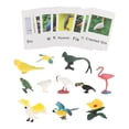 thumbnail image 4 of Montessori Animal Match Language Materials Early Learning Infant Toddlers Animal bird, 4 of 9