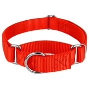 Country Brook Petz Martingale Dog Collar - Training Collar with No Buckle (Hot Orange, Small)