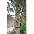 thumbnail image 4 of Juguete Realista de Serpiente de Goma Brandon Negra 52 Pulgadas de Largo, 4 of 6