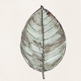 thumbnail image 3 of Pinto, Patricia 12x12 Black Modern Framed Museum Art Print Titled - Neutral New Leaf I, 3 of 5