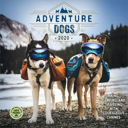 Adventure Dogs 2020 Wall Calendar: Hiking, Camping, and Traveling with Courageous Canines (Best Dogs For Hiking And Camping)
