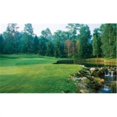 thumbnail image 1 of Biggies, Inc. WW-FRY-100 Window Well Scenes - Fairway-100, 1 of 1