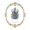 thumbnail image 3 of Gango Home Decor Contemporary Adorning Coleoptera I & IV by James Wiens (Ready to Hang); Two 11x14in Distressed Framed Prints, 3 of 5