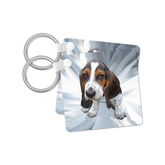 3dRose, Basset Hound, set of 2 Key Chains