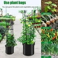 thumbnail image 6 of Grow Bags 3/5/10 Gallon Heavy Duty Thickened Non-Woven Grow Bag with Handles Plant Grow Bags Planting Bags Plant Bags, 6 of 7