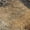 Copper, variant on Addison Rugs Mayfield Premium Machine Washable Transitional Abstract Copper Rectangle Rug, 10' x 14'