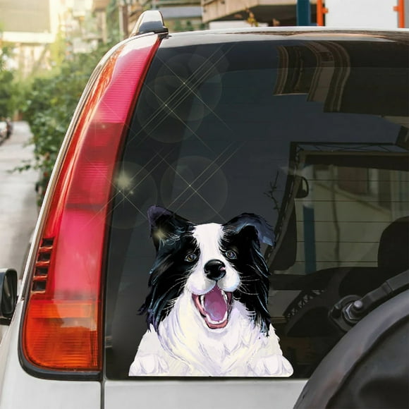Binmer Autocollants de Décoration de Voiture, Autocollants de Fenêtre Imperméables, Autocollants Anti-Rayures pour Voiture