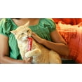 thumbnail image 2 of Delectables Chicken, Tuna & Salmon Squeeze Up™ Cat Treats 54 Pack, 2 of 7