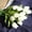 White, variant on VerPetridure Mini Tulip Artificial Flower Fake Flower Mw08081 Pink Artificial Fake Flowers Tulip Bouquet Floral Wedding Bouquet Party Home Decor PK