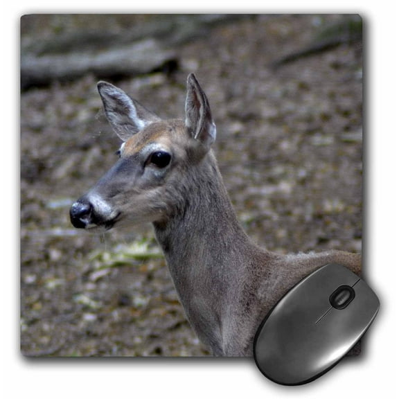 3dRose, The head part of a deer picture, MousePad