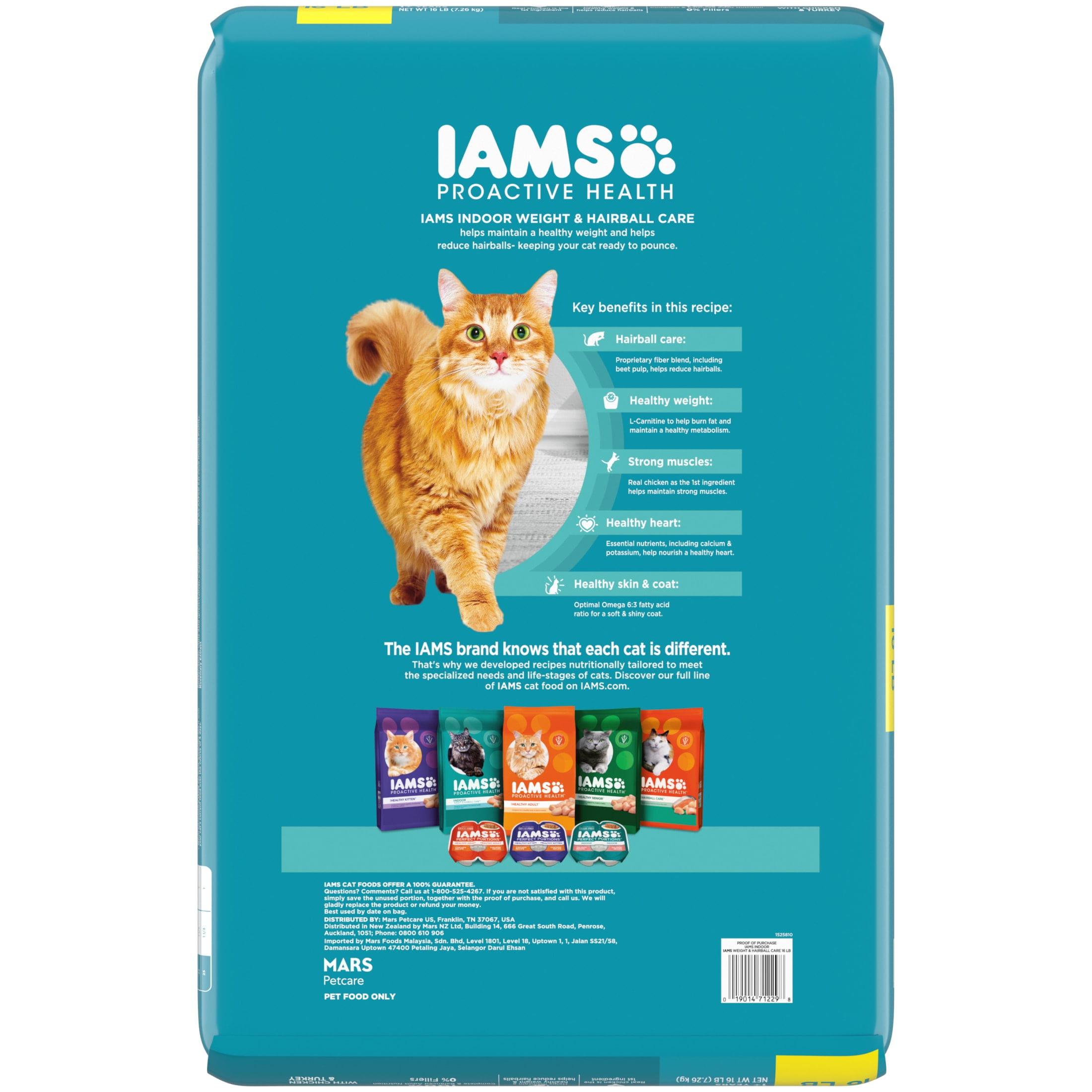 Iams Proactive Health Indoor Weight and Hairball Care Adult Dry Cat Food, Chicken and Turkey, 16 lb Bag