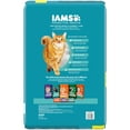 thumbnail image 3 of Iams Proactive Health Chicken And Turkey Dry Cat Food, 16 Lb Bag, 3 of 17