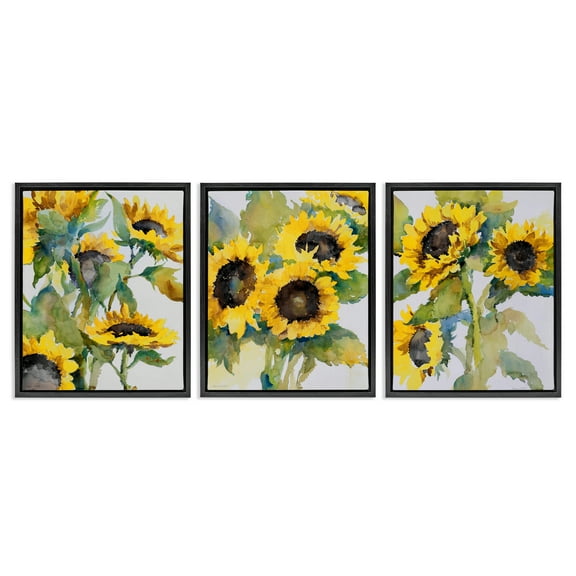 Stupell Industries Blooming Country Sunflowers Plants & Flowers Painting Black Floater Framed Canvas Art Print Wall Art, 17 x 21, Set of 3