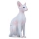 thumbnail image 5 of Modelo de gato sin pelo de simulación, modelo de gato sin pelo de simulación, modelo de gato sin pelo, modelo de gato decorativo, durabilidad probada en el tiempo, 5 of 14