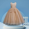 thumbnail image 3 of MHZLDYZ Girls Dresses Size 14 Flowers Little Girls Tulle Lace Wedding Party Dress for Kids formal Birthday Princess Pageant Prom Maxi Gown Dress for Kids Little Girls Dresses(Beige,160), 3 of 7