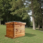Complete 10-Frame Bee Hive Starter Kit | 1 Deep & 1 Medium Box with Beeswax Coated Frames for Beginners