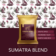 thumbnail image 2 of Coffee Mate Coffee Creamer Singles with Sumatra Blend Ground Coffee - 101ct of Peppermint, Sweet and 5 more Flavored Pods with 1x2.5 oz TRIONI Medium Roast Coffee Packets, 2 of 6