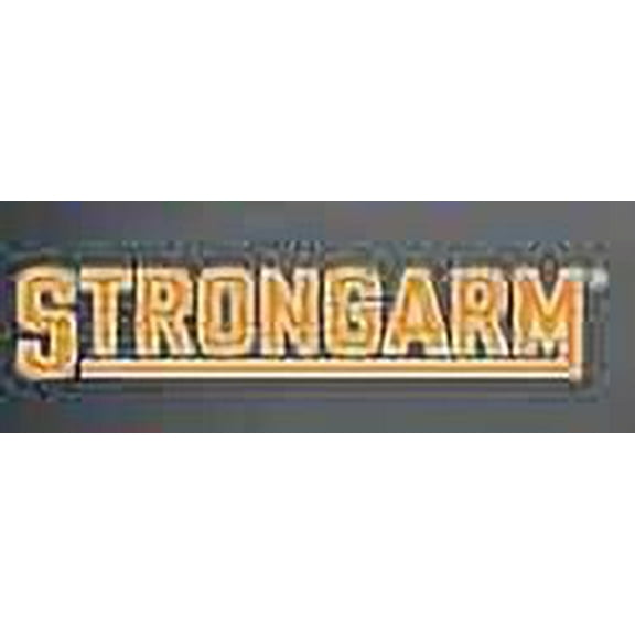 Strong Arm 6548 Trunk Lid Lift Support for 900029 Mexico Body Compartment