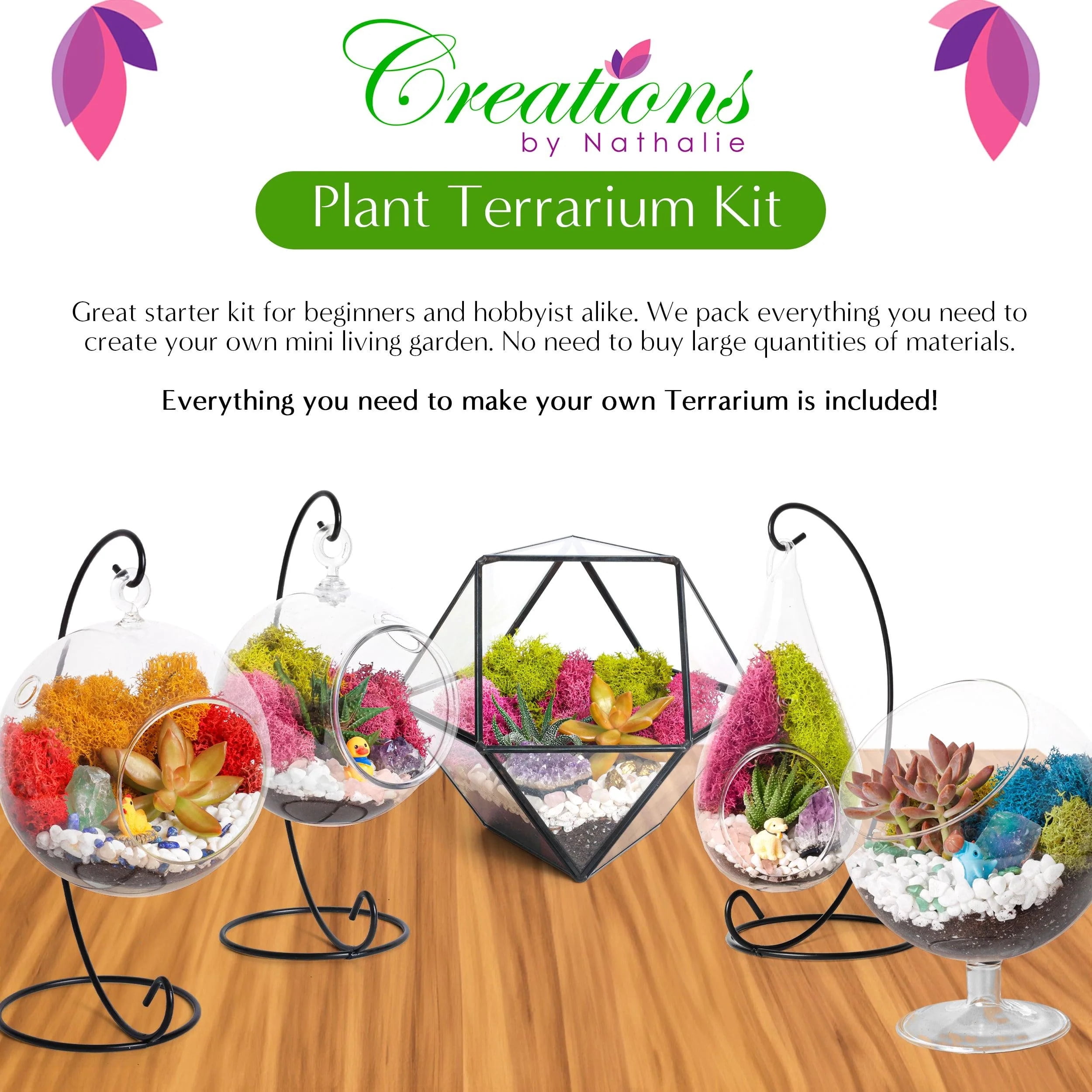 Creations by Nathalie DIY Terrarium Kit - For Succulents, Cacti & More