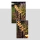 thumbnail image 4 of De Estrella De Navidad Ahorro De Energía Al Aire Libre Luces De Estaca Con Energía Solar A Prueba De Agua Decoraciones Para El Hogar Camino Jardín Pasarela Patio Césped Patio Advancent HA043842-03, 4 of 6