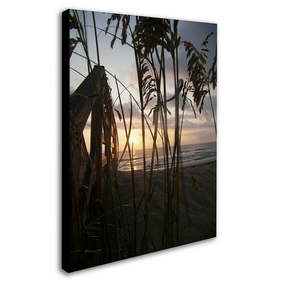 Trademark Fine Art "Hidden Life" Canvas Art by Monica Fleet