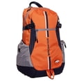 thumbnail image 2 of BACK PACK JUVENIL MASCULINO NFL DENVER D, 2 of 5