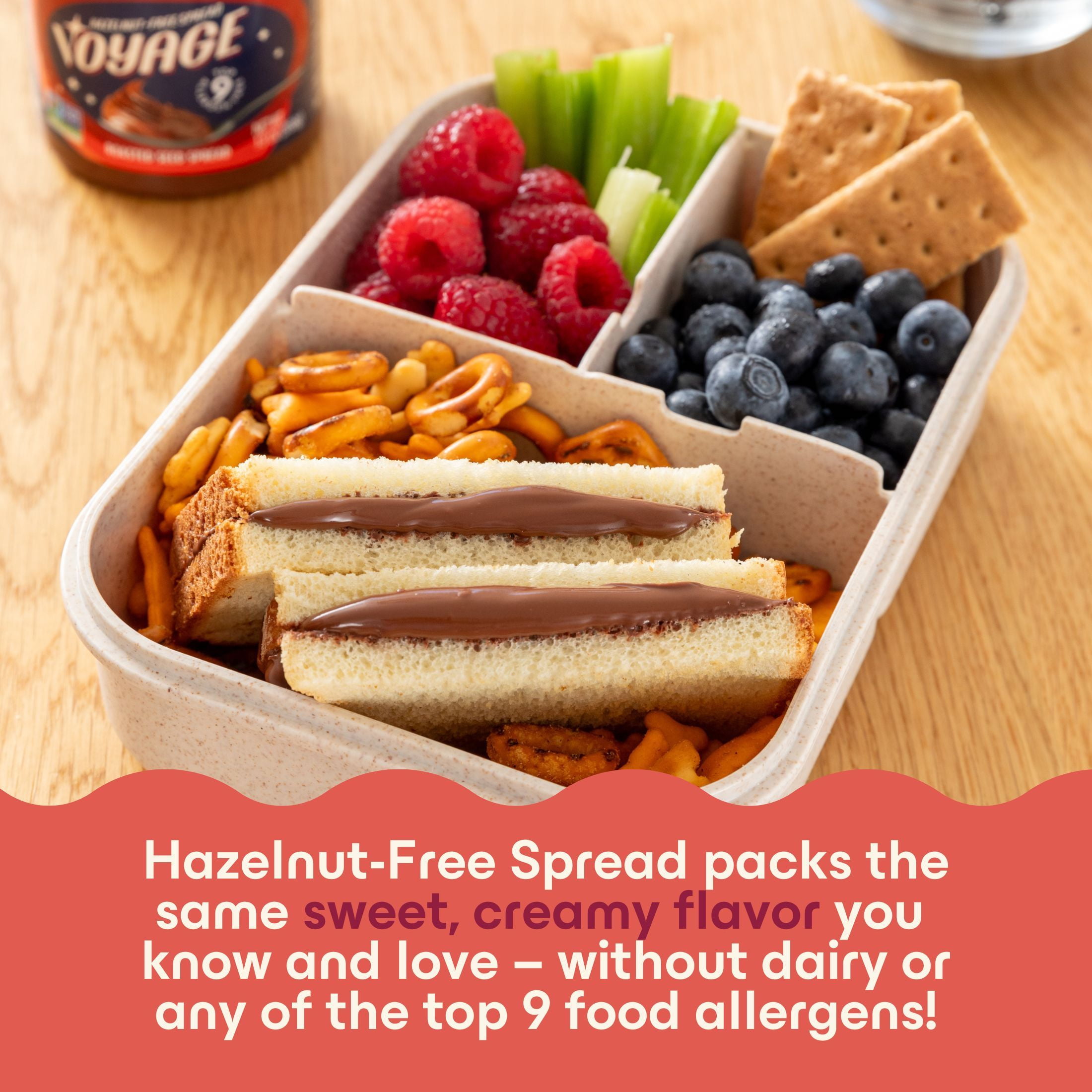 Voyage Foods Plant-Based & Top 9 Allergen-Free Hazelnut-Free Spread 13 oz Jar