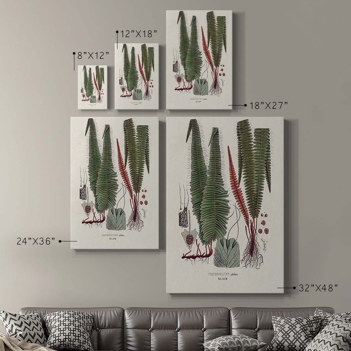 Botanical Society Ferns IV Premium Gallery Wrapped Canvas - Ready to Hang