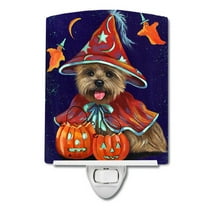 Caroline's Treasures PPP3061CNL Cairn Terrier Halloween Witch Ceramic Night Light, 6x4x3", multicolor