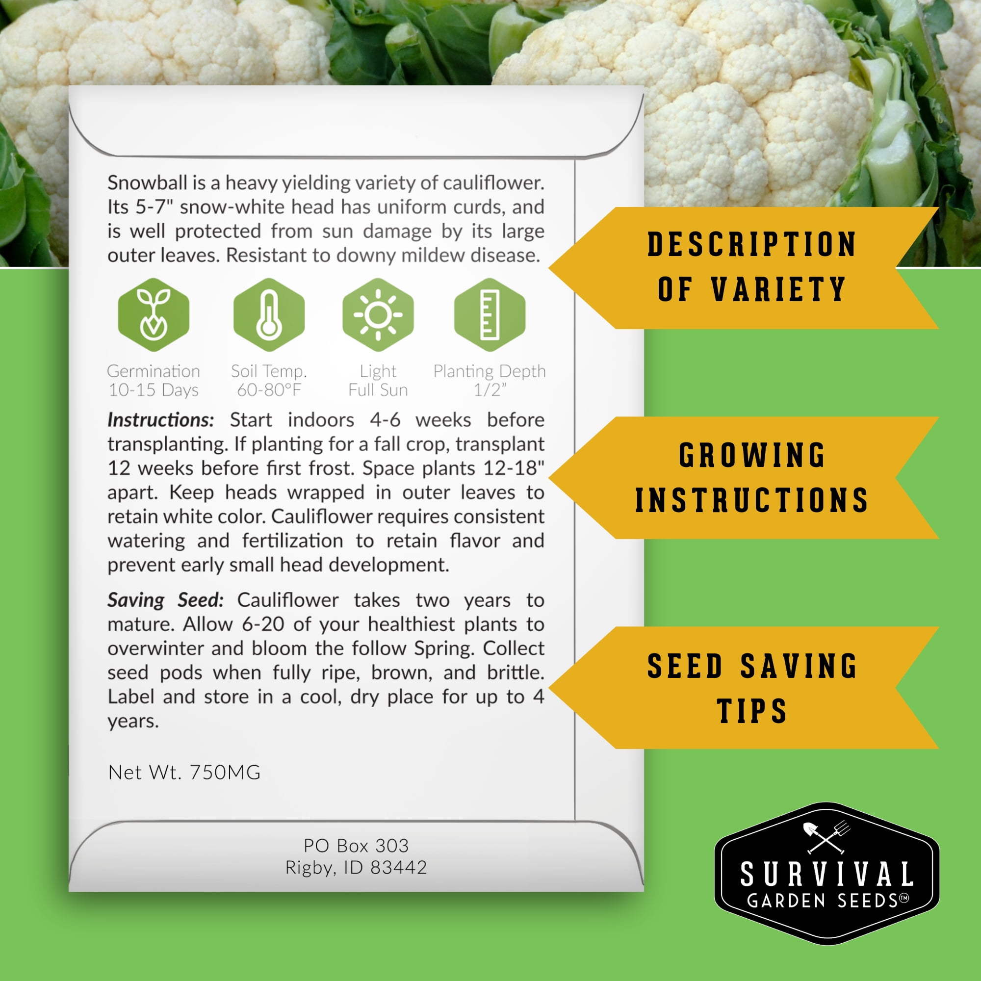 100 Pack Farmer Kit Vegetable Seeds - Non GMO Heirloom Full Sun Annual - Emergency Seed Bank Survival Gear
