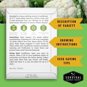Farmer 100 Pack Vegetable Seeds - Full Sun Annual - Emergency SeedsVault