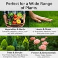 thumbnail image 4 of 𝐏𝐑𝐎𝐅𝐄𝐒𝐒𝐈𝐎𝐍𝐀𝐋 All-Purpose 20-20-20 - Liquid Fertilizer Concentrate for Lawns, Grass, Plants, Vegetables, Fruits & Flowers | 20-20-20 Liquid Superfood for Indoor and Outdoor Plants (8 OZ), 4 of 7