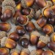 thumbnail image 5 of 50 bellotas artificiales de imitación de nuez con tapa natural, accesorios de simulación de fruta para rellenar jarrones, decoración de otoño para el hogar, Acción de Gracias, Navidad y bodas., 5 of 7