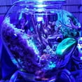 thumbnail image 3 of ABI 12W Tuna Blue LED Bulb Coral Reef Optimized Spectrum PAR38, 3 of 9