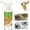 b, variant on Electrolyzed Ion Kitchen Cleaner Spray for Kitchen Hoods, Ovens, and Stoves, Plant-Based Grease Remover for Home Appliances