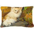 thumbnail image 1 of Chihuahua Juste Coussin Décoratif en Tissu au Soleil, 1 of 1