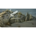 thumbnail image 2 of Goebel, Wilhelm 32x19 White Modern Wood Framed Museum Art Print Titled - Launch - Snowy Owl, 2 of 4