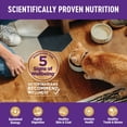 thumbnail image 5 of Feline Adult - GF Complete Health - Healthy Weight - Chicken - Dry Cat Food, 5 of 5
