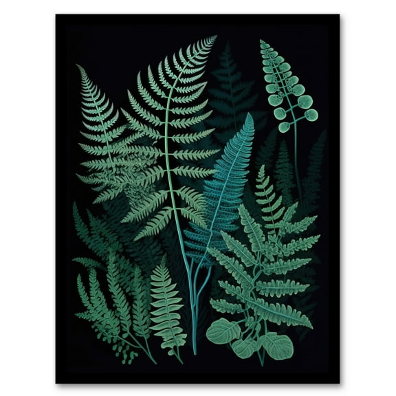 Elegant Fern Fronds Botanical Nature Foliage Artwork Teal Blue Green on Black Art Print Framed Poster Wall Decor 12x16 inch