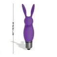thumbnail image 3 of The 9's Vibromasseur Balle Lapin Silibun, Violet, 3 of 3