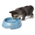 thumbnail image 4 of Plato para Perro Petmate Ultra Ligero Grande, 4 of 4