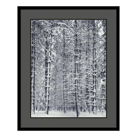 UPC 813454013843 product image for Amanti Art Dsw01387 33-1/4  X 27-1/4   Pine Forest In The Snow  Yosemite Nationa | upcitemdb.com