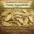 thumbnail image 2 of Hoja de Sen Té (Senna Leaf Tea Natural) Net Wt. 4 oz (113g) - 100% Natural, Vegan, 2 of 9