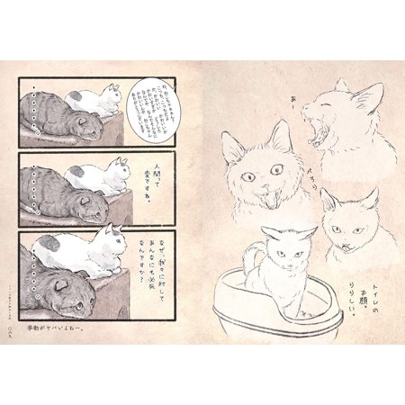 「新品　玄光社」うぐいす歌子の御ねこ日記 うぐいす歌子