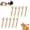 10pcs-S, variant on Cat Natural Silvervine Sticks, Catnip para Gatos Chew Cat Toys, Interactive Dental Stick Gatos for Indoor Cats, Boost Appetite & Relieve Anxiety