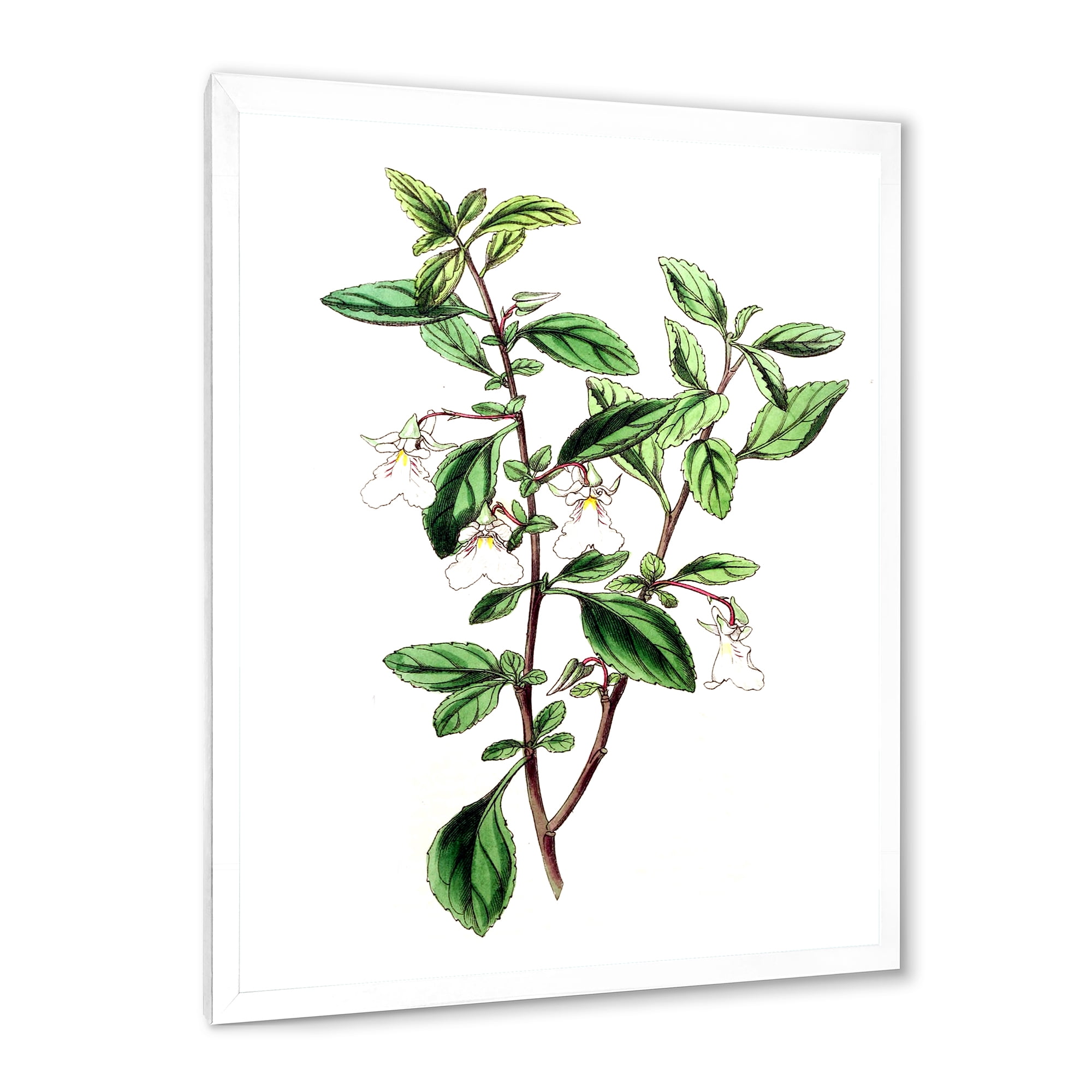 Designart 'Ancient Green Leaves Plants VII' Traditional Framed Art Print